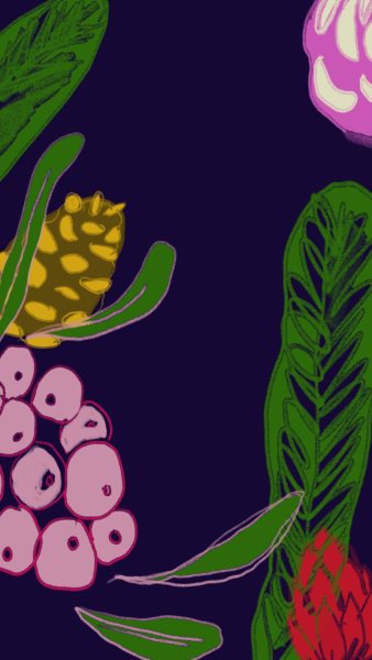 An illustration of imaginary flowers made on an Ipad on a dark blue background.